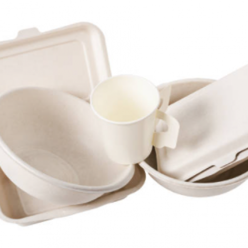 Disposable Tableware